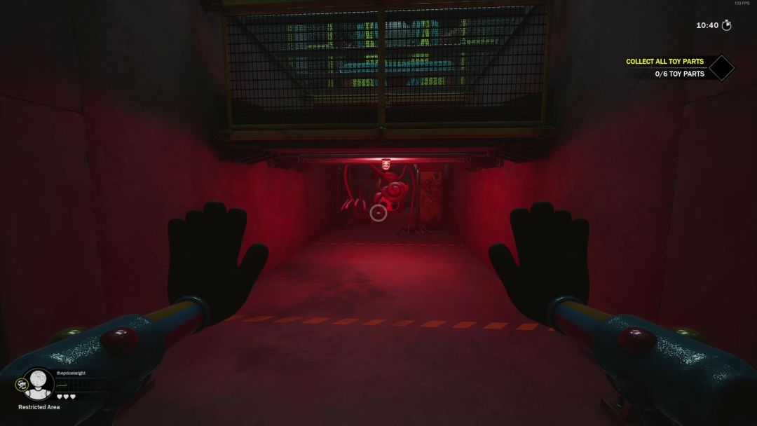 PROJECT: PLAYTIME游戏截图