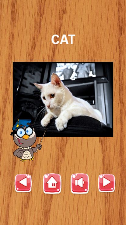 ENGLISH ANIMAL VOCABULARY AND MATCH GAME FOR KIDS游戏截图