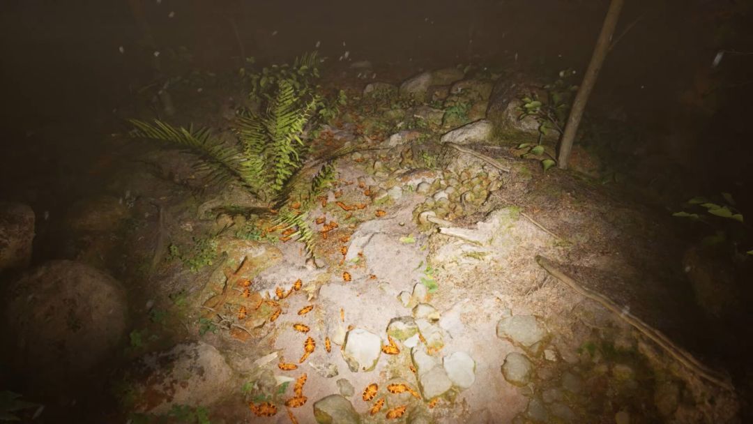 雾锁温泉 Misty Onsen游戏截图