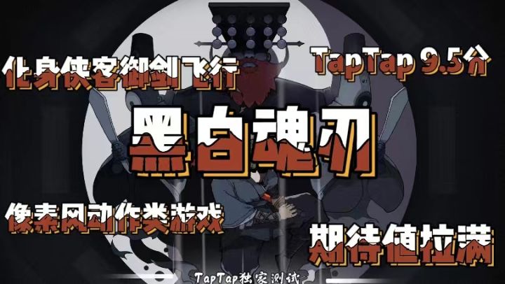 期待值拉满9.5评分 黑白魂刃进来了解截图