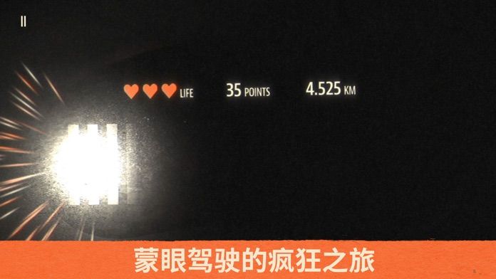 盲驾驶游戏截图