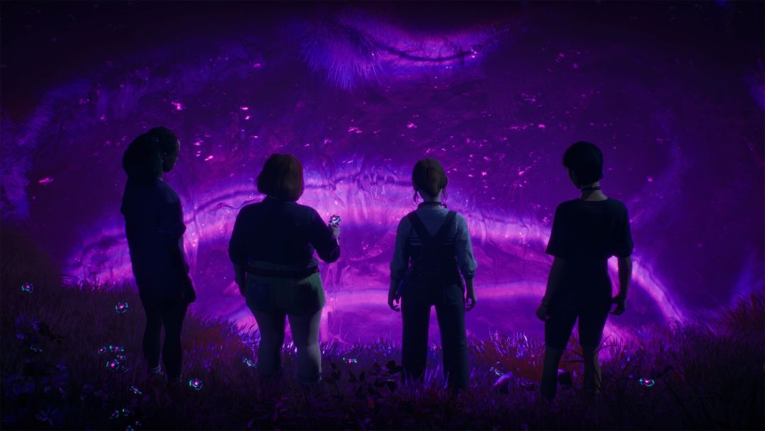 失落记录：绽放与狂怒游戏截图