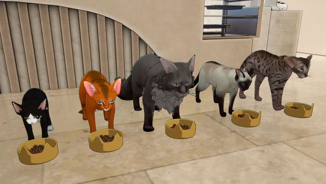 猫之屋 Cat Home游戏截图