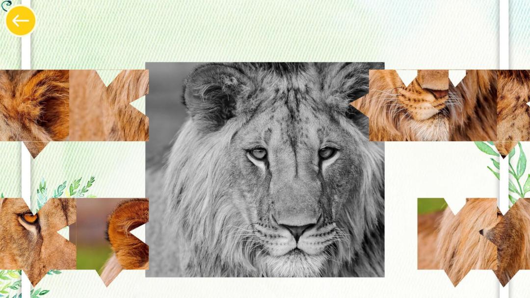 天天开心拼图HD游戏截图