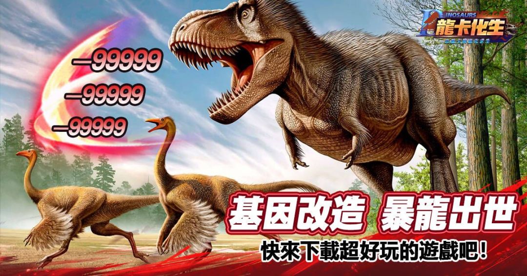 龙卡化生游戏截图