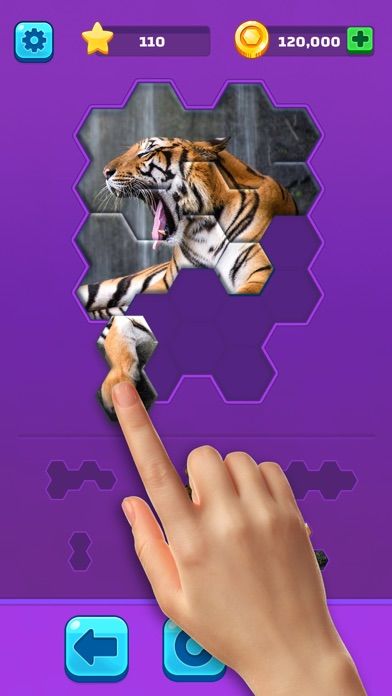 Hexa Jigsaw Puzzle ®游戏截图