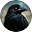 Mystery Case Files: Ravenhearst®icon