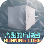 奔跑的方块酱icon