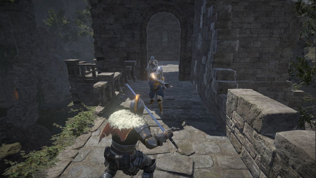 凡尔赛法环游戏截图