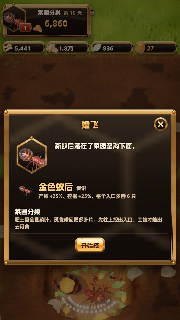 蚁国:从一只蚁后到整座后院游戏截图