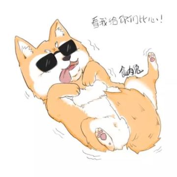 信鸽老柴使命必达！老铁问！研发答！（上）
