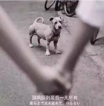 戏说天龙-钟万仇 舔狗舔到一无所有