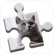 British Shorthair Puzzle