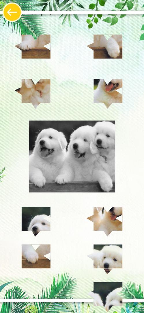 天天开心拼图(测试版)游戏截图