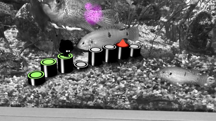 《言弃！》AR版游戏截图