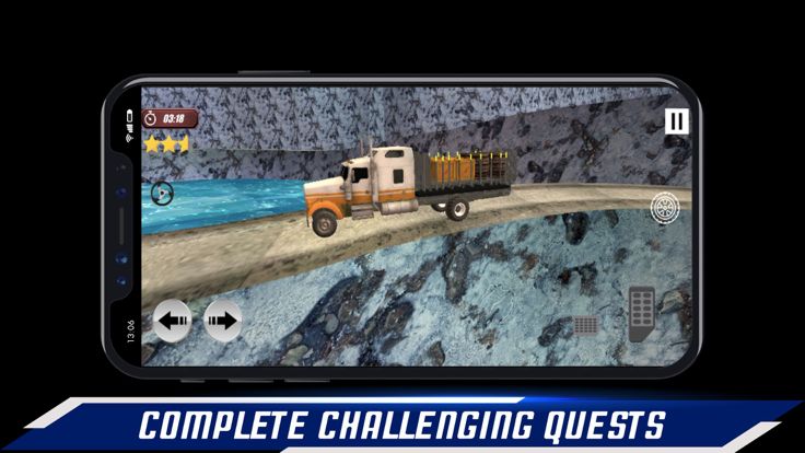 Truck Driver Pro游戏截图