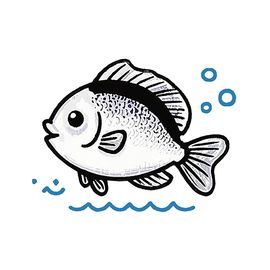 游鱼天下工作室