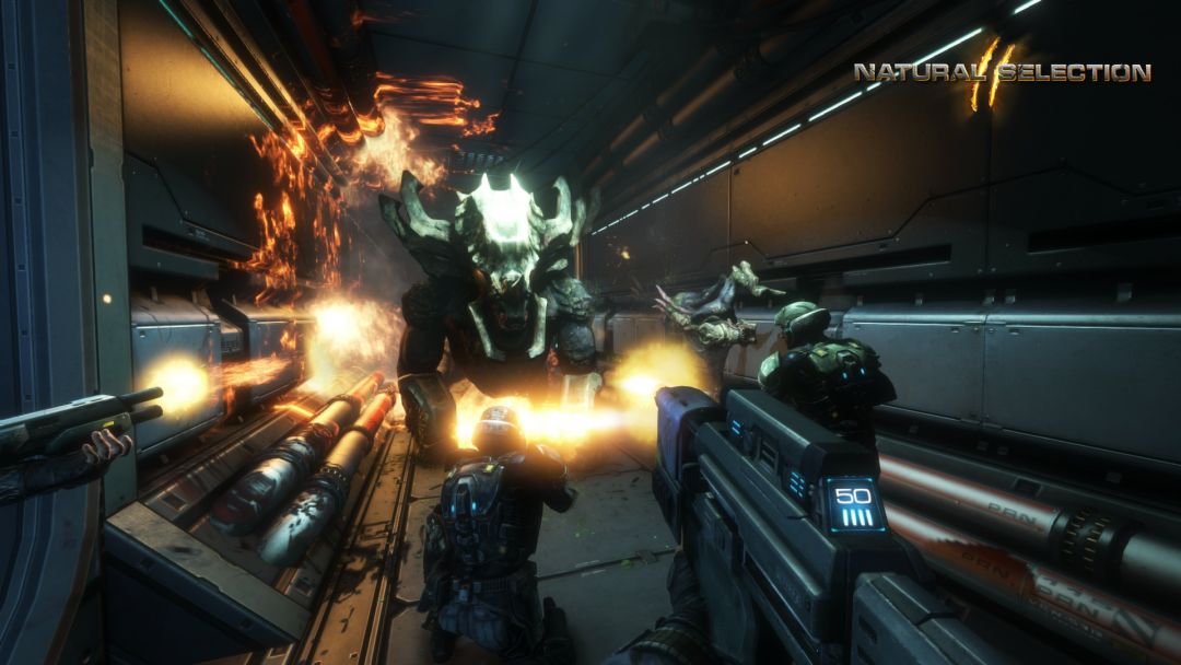 Natural Selection 2游戏截图