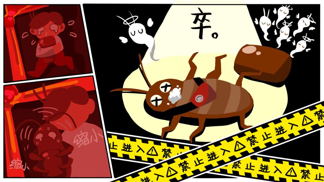 好想变成蟑螂游戏截图