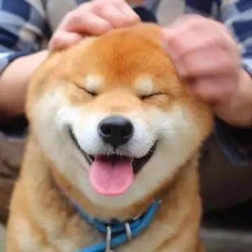 《战歌竞技场》距离上线还有4天！