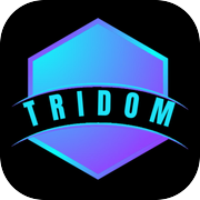 TriDom: Strategy Puzzle Gameicon