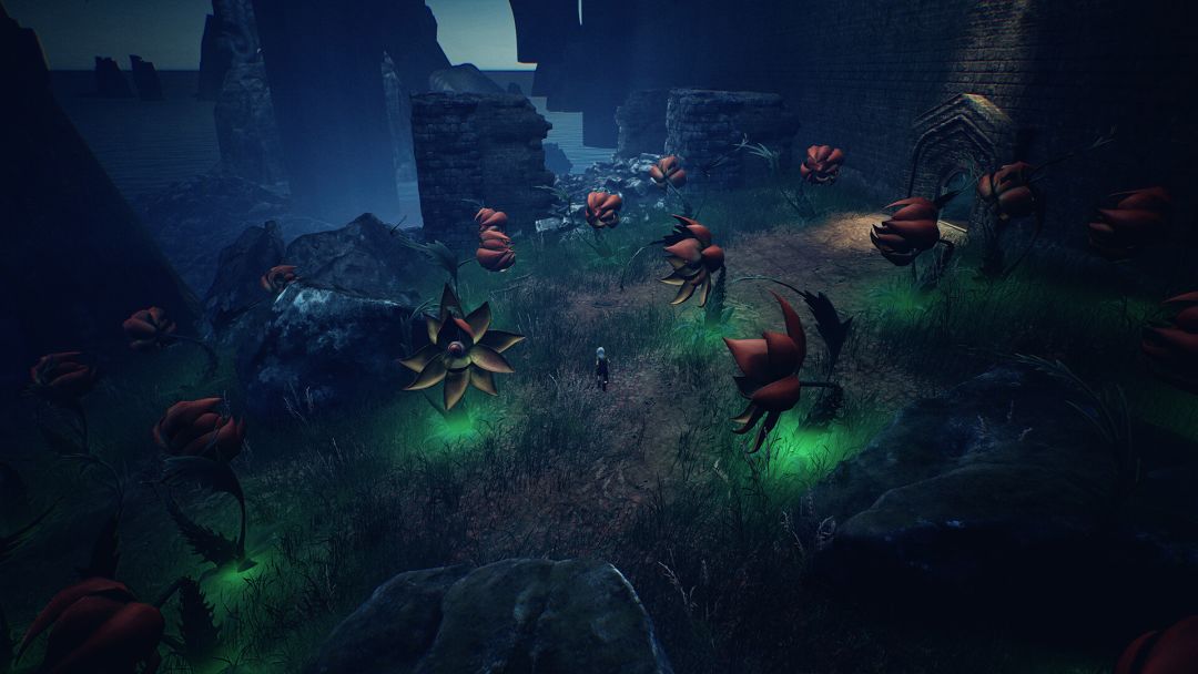 寂静之国的波斯菊游戏截图