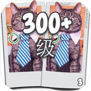 找到差異300級 - 找到差异icon