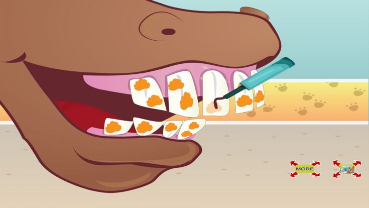 Animal Hospital & Animal Doctor游戏截图