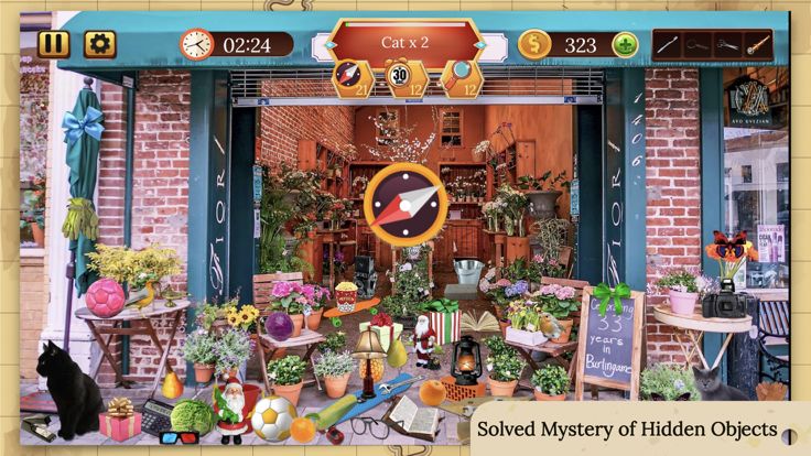 隐藏的神秘: 尋找隱藏物品游戏截图