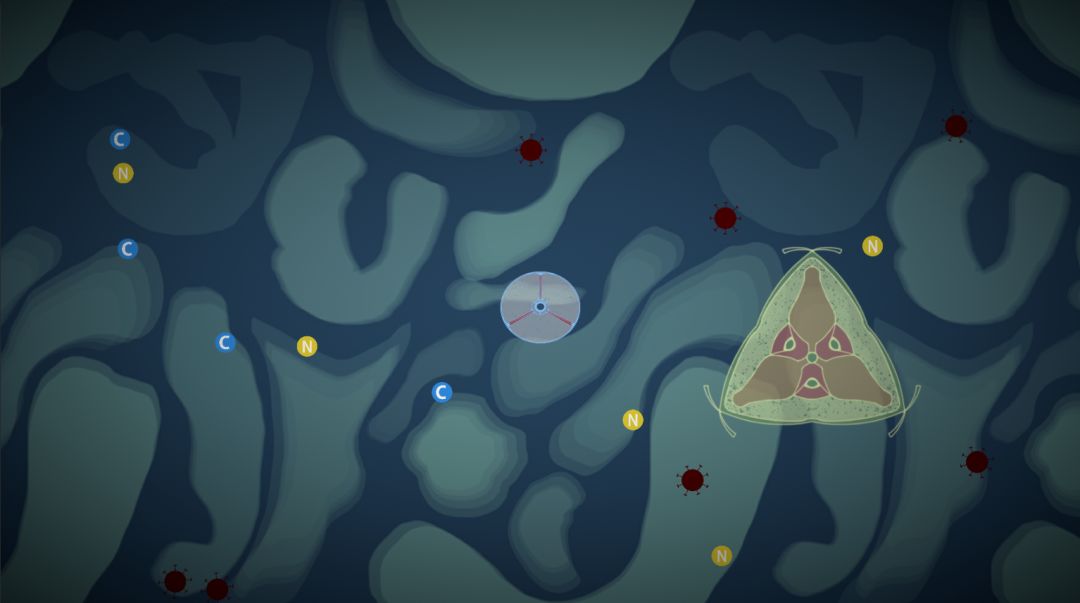 露卡：超级细胞游戏截图