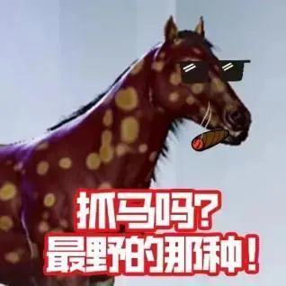 诺亚学园丨良驹宝马随心配对，阿泽带你培育专属马匹！