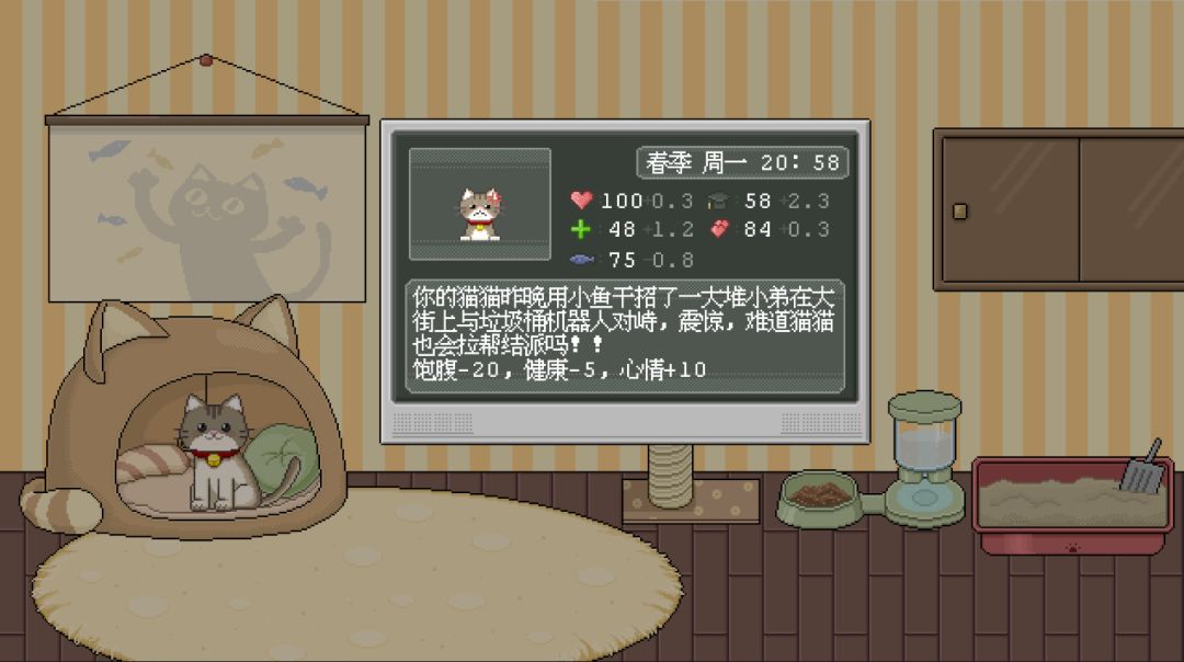 猫箱游戏截图