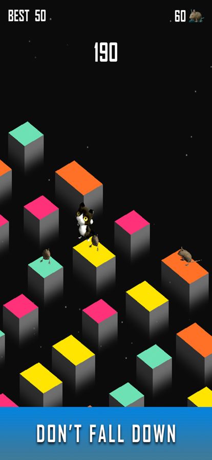 Zara Cat - New Games 2021游戏截图