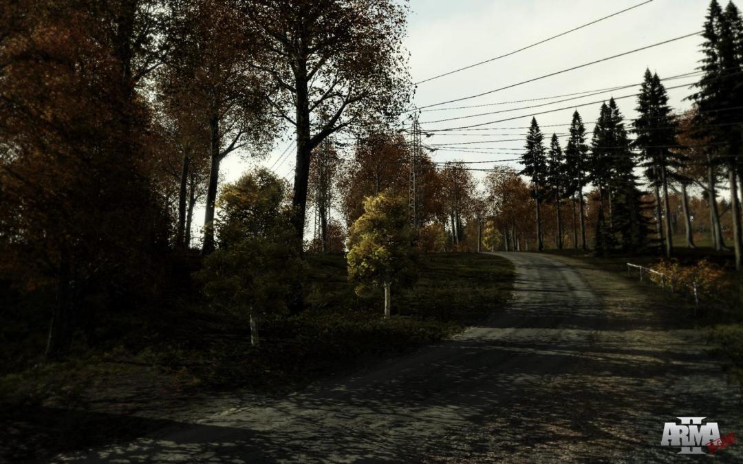 Arma 2游戏截图