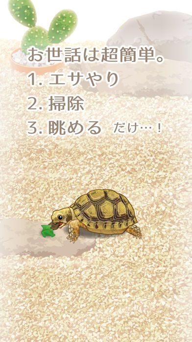 Tortoise Aquarium Free游戏截图