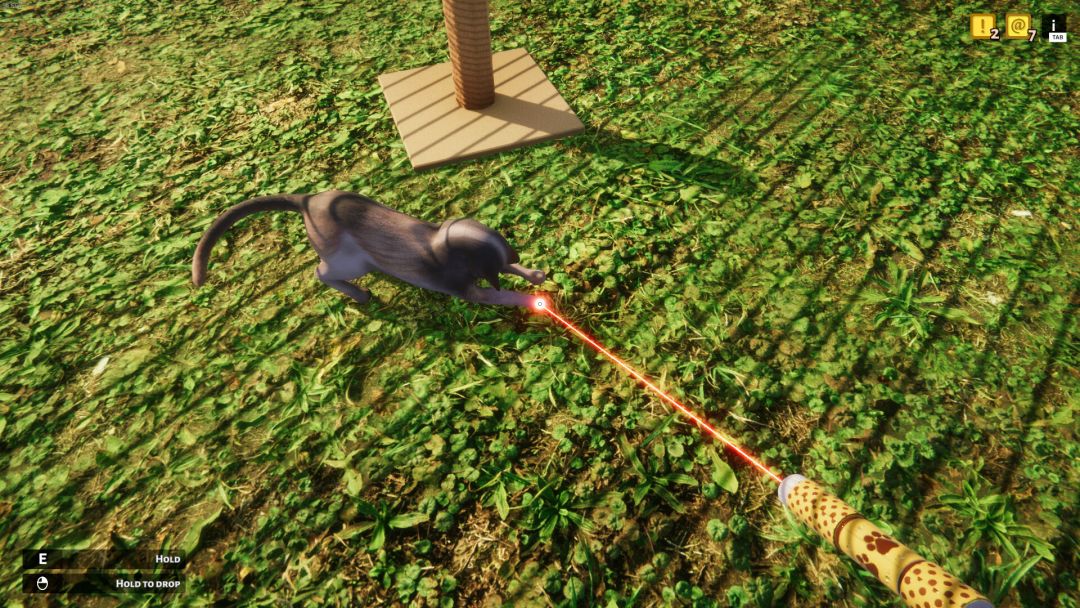 动物收容所游戏截图