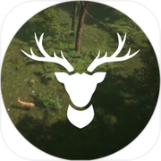 Natural Instincts: European Forest