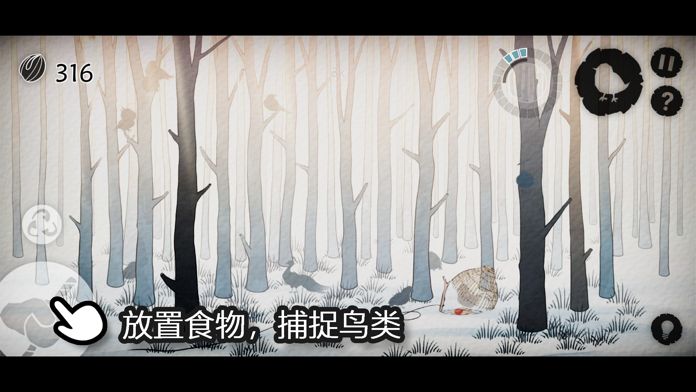 森鸟画语(Bird's Forest)游戏截图