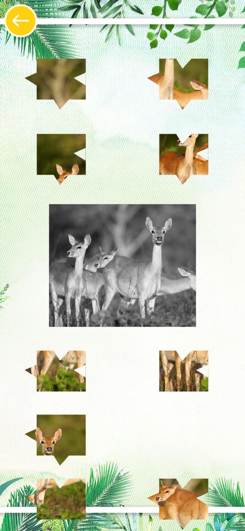 天天开心拼图（测试版）游戏截图