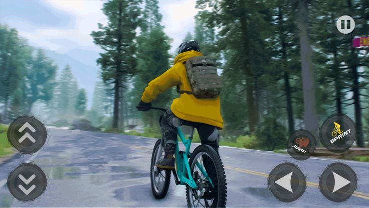 BMX 自行车赛车模拟器游戏截图