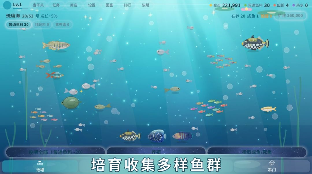 池塘物语游戏截图