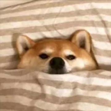 爆笑留言合集 | 确认过眼神，这是属于单身狗的快乐