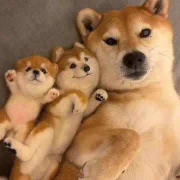 《战歌竞技场》距离上线还有7天！