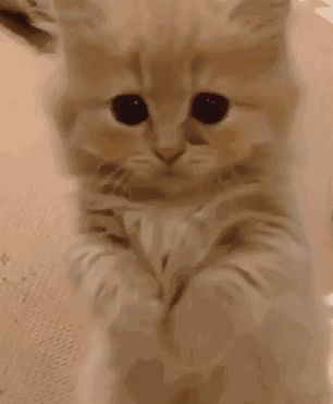 【新游简评】重生、变异，值得入坑否？进坑娘初见短评《重生细胞》