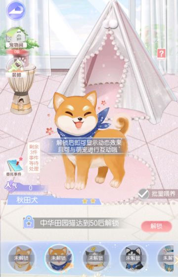 《璀璨女王》——宠物介绍