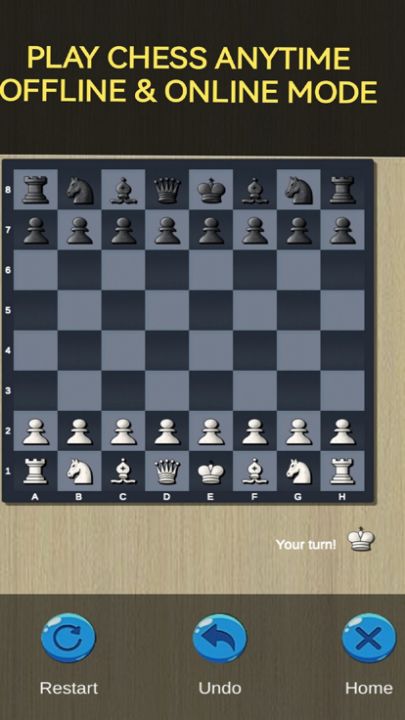 Chess Game: Masters of Mind游戏截图