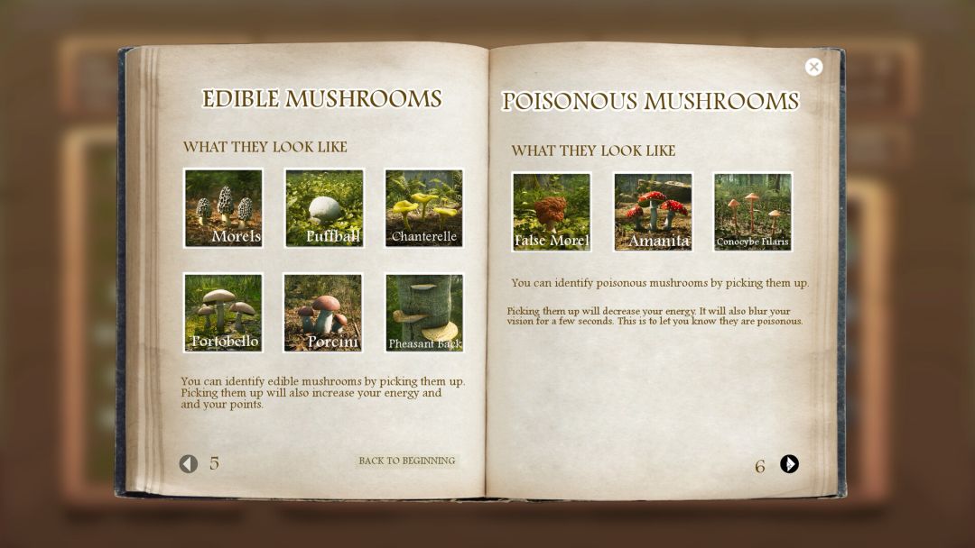 Morels: The Hunt游戏截图