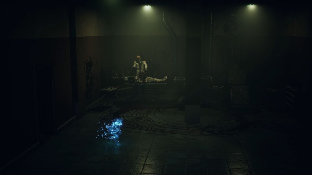 寂静之国的波斯菊游戏截图