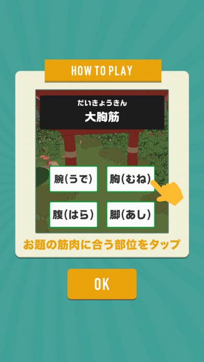 筋肉のなまえ游戏截图