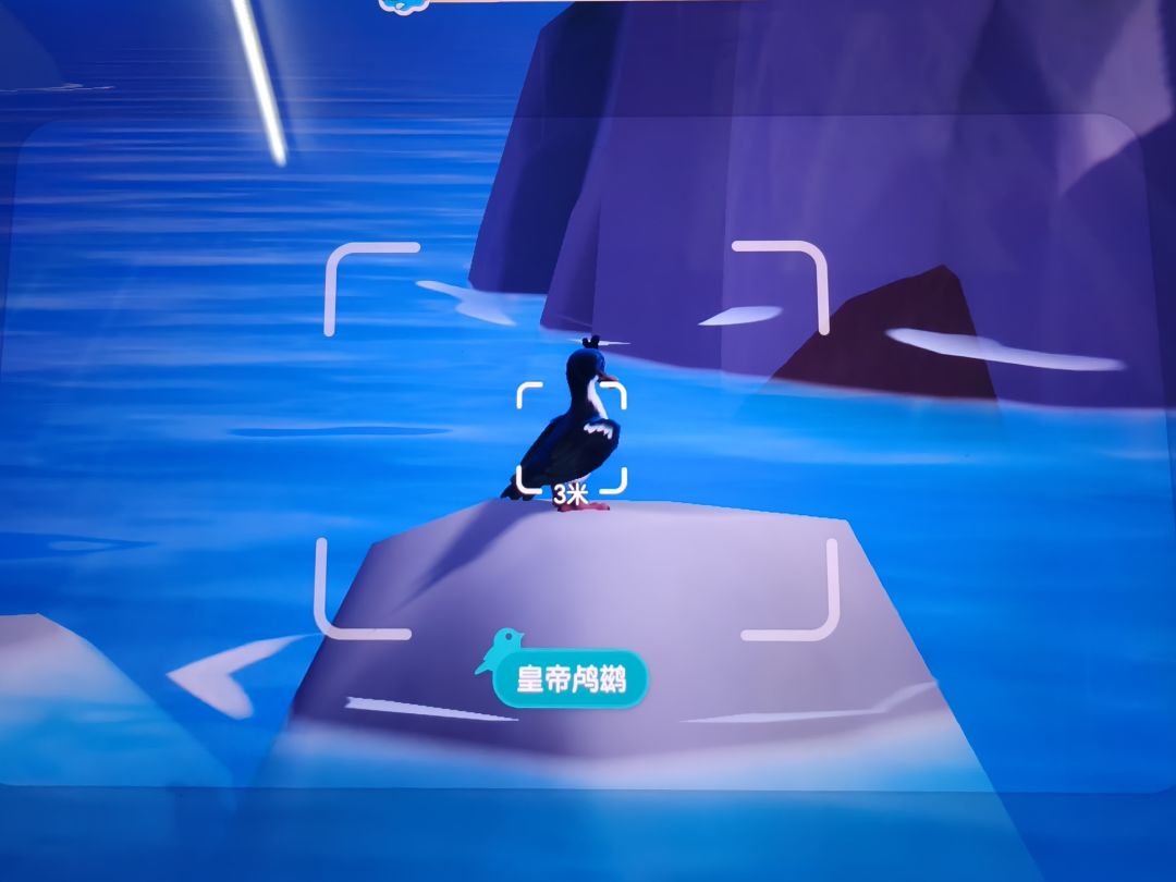 皇帝鸬鹚 2